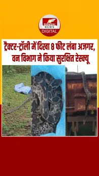 बालोद में ट्रैक्टर-ट्रॉली से निकला 8 फीट लंबा अजगर, वन विभाग ने किया रेस्क्यू