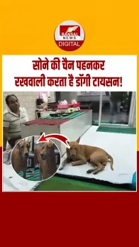 Unnao News: उन्नाव की ज्वैलरी शॉप में सिक्योरिटी गार्ड नहीं, सोने की चैन वाला देसी डॉग करता है पहरेदारी!