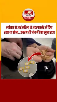Smuggling: दिल्ली एयरपोर्ट पर महिला के अंडरगारमेंट्स से मिला सोना, 85 तोला गोल्ड बरामद