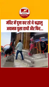 कोयंबटूर में अचानक एक मंदिर के अंदर घुस गया हाथी, जिसे देख लोगों में मच गई भगदड़