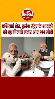 PM Modi ने गुजरात में वन्यजीव बचाव केंद्र Vantara का किया उद्घाटन, देखें Video