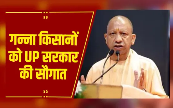 Up News : योगी सरकार का गन्ना किसानों को तोहफा, गन्ने के दाम में ₹30 प्रति क्विंटल की बढ़ोतरी