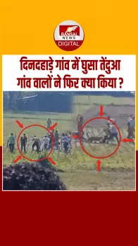 हिमाचल प्रदेश के ऊना इलाके में घुसा तेंदुआ, तलाश कर रही वन विभाग की टीम