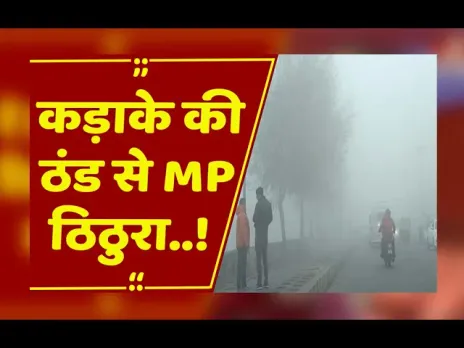 MP में कोल्ड वेव का असर: ठंडी उत्तरी हवाओं से बढ़ी सर्दी, राजधानी में 7 दिन से शीतलहर