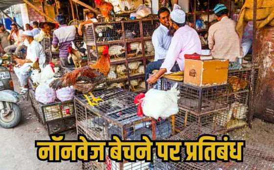 Guru Purnima 2025: एमपी में इस शहर में 3 दिन बंद रहेंगी मांस-मछली की दुकानें, प्रशासन ने जारी किया आदेश, जानिए वजह...