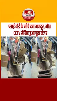 सिंगरौली के चितरंगी बाजार में दर्दनाक हादसा, प्लाई बोर्ड के नीचे दबा मजदूर, हुई मौत, हादसा सीसीटीवी में कैद