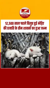 Saif Ali Khan से जुड़े मारपीट मामले में फंसी Malaika Arora, जमानती वारंट हुआ जारी, जानें क्या है पूरा मामला?