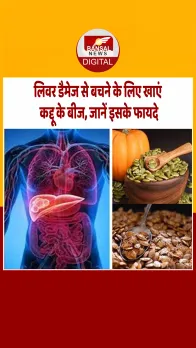 Pumpkin Seeds: कद्दू के बीज में छिपा है सेहत का 'खजाना', इन समस्याओं से रहेंगे कोसों दूर