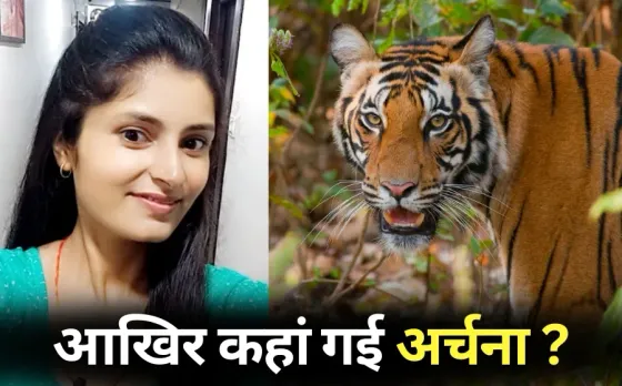 MP Archana Tiwari Missing Case Searching in Midghat forests tiger attack hindi news