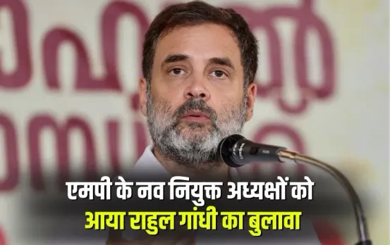 MP Congress Rahul Gandhi