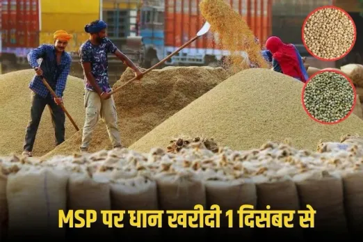 MP Dhan Kharidi 2025: 1 दिसंबर से धान खरीदी शुरू, समर्थन मूल्य पर उपार्जन नीति लागू, ज्वार और बाजरा की खरीदी इस दिन से