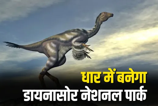 MP Dinosaur National Park