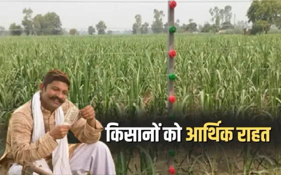 MP Farmer Farm Fencing Subsidy 2025