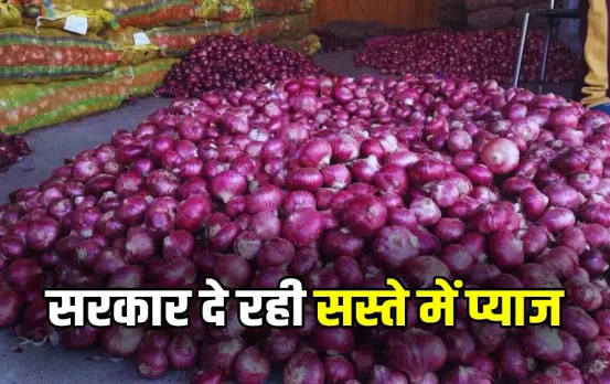 MP Government Selling Onion