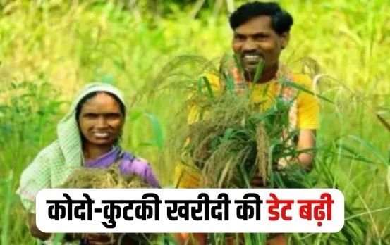 MP Kodo Kutki Procurement