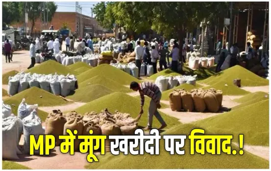 MP Moong Kharidi 2025 MSP Controversy