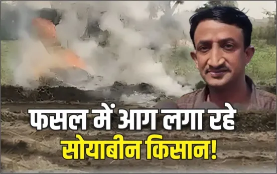 MP-Soyabean-Procurement