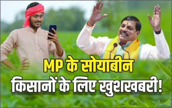 MP-Soybean-Procurement
