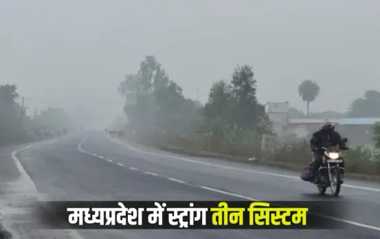 Bhopal Building Permission: भोपाल में अब हर निर्माणाधीन बिल्डिंग पर 'अनुमति का बोर्ड' अनिवार्य, बीएमसी का बड़ा कदम
