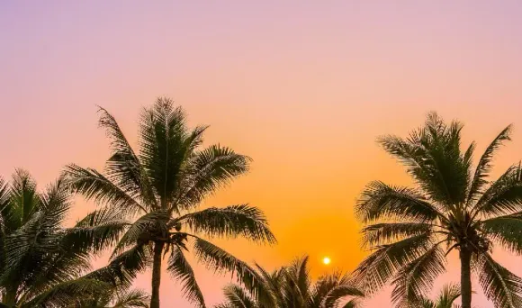 MP-Weather-Update-Today