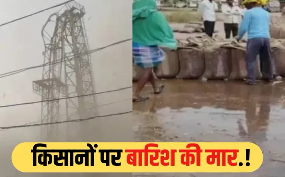 MP में बदला मौसम का मिजाज: बारिश, आंधी और ओलावृष्टि से किसानों को भारी नुकसान, टीकमगढ़ में हजारों क्विंटल गेहूं बर्बाद