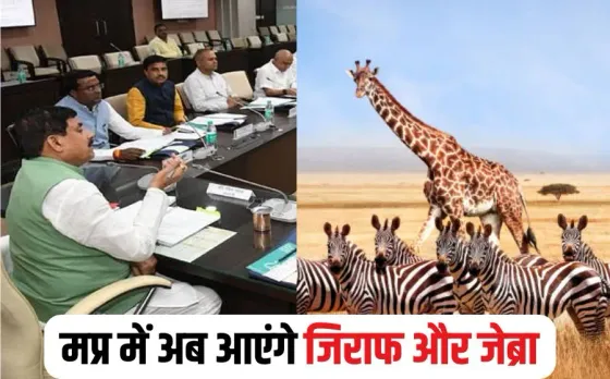 MP Wild Life Board Decisions