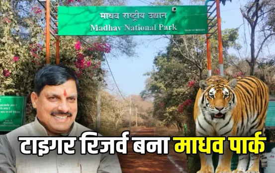 MP Shivpuri Madhav National Park Tiger Reserve NTCA CM mohan yadav