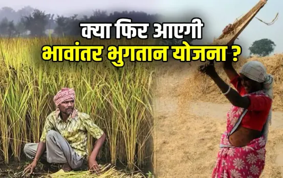 Madhya Pradesh Bhavantar scheme