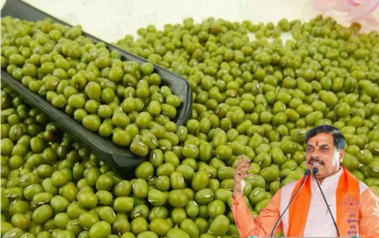 Madhya Pradesh Moong Urad Kharidi Registration Process 2025 Details