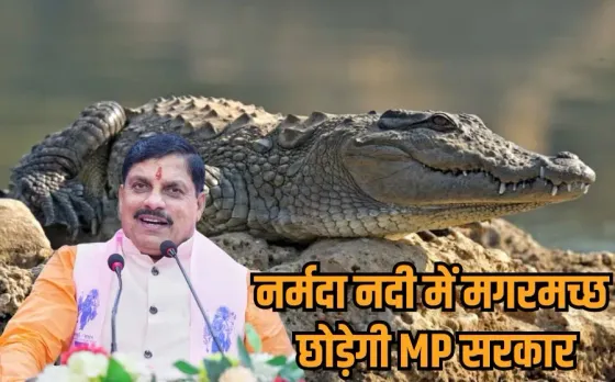 MP सरकार का वन्यजीव संरक्षण में बड़ा कदम: मुख्यमंत्री मोहन यादव नर्मदा नदी में छोड़ेंगे मगरमच्छ, खंडवा में होगा कार्यक्रम