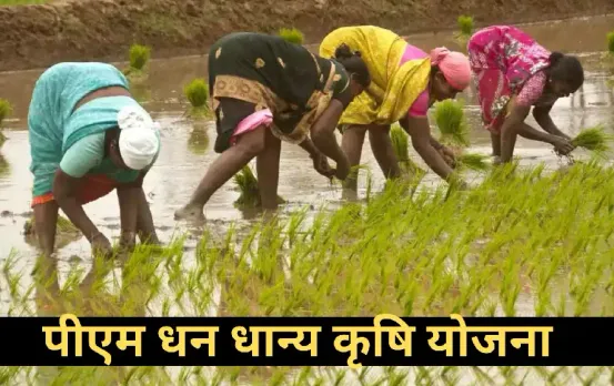 PM Dhan Dhanya Krishi Yojana