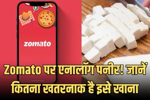 Analogue Paneer on Zomato