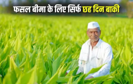 PM Fasal Bima Yojana