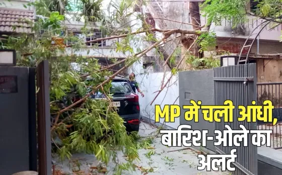 MP Weather Update: भोपाल में आंधी के बाद बरसा पानी, अरेरा कॉलोनी में पेड़ की डाल टूटी, कई जिलों में बारिश, ओले भी गिरे