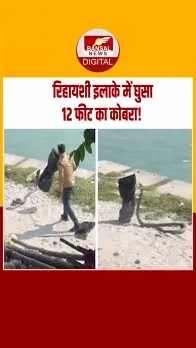 Kobra Rescue: हरिद्वार के कनखल बैरागी कैंप में दिखा विशाल कोबरा, वन विभाग ने किया रेस्क्यू
