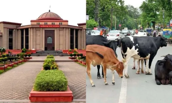 Chhattisgarh High Court