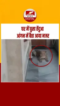 राजस्थान: घर में घुसा तेंदुआ, सामने बैठा देख घरवालों के उड़े होश, वीडियो वायरल