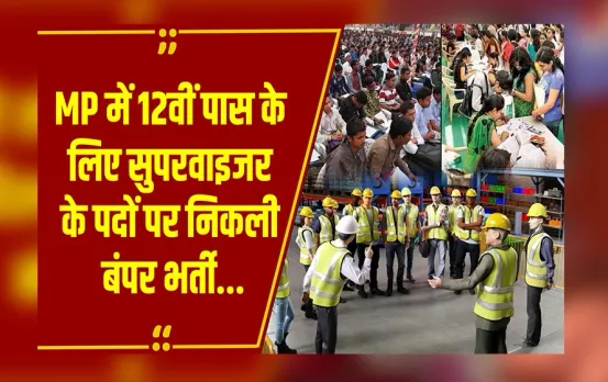 Rozgar Updates: MPESB ने सुपरवाइजर के कई पदों के लिए जारी किया नोटिफिकेशन, 12वीं पास करें अप्लाई, जानें पूरी Detail