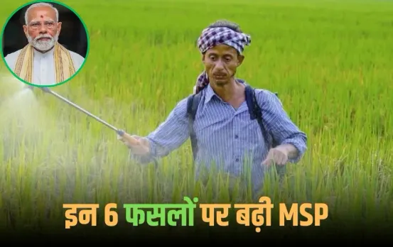 MSP Hike 2025: देश के करोड़ों किसानों को मोदी सरकार का तोहफा, दीवाली से पहले मिली बड़ी सौगात, इन 6 फसलों का बढ़ाया MSP