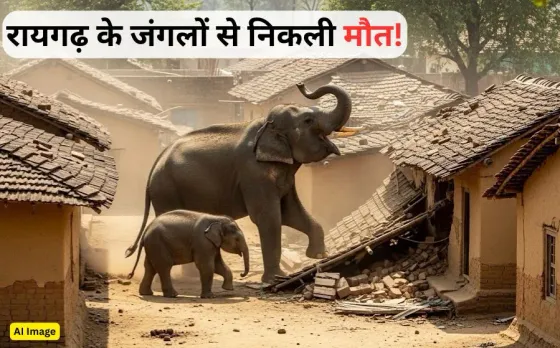 रायगढ़ में हाथी के हमले से 3 ग्रामीणों की दर्दनाक मौत: तीन साल के मासूम को पटक कर मार डाला, कई घरों में की तोड़फोड़