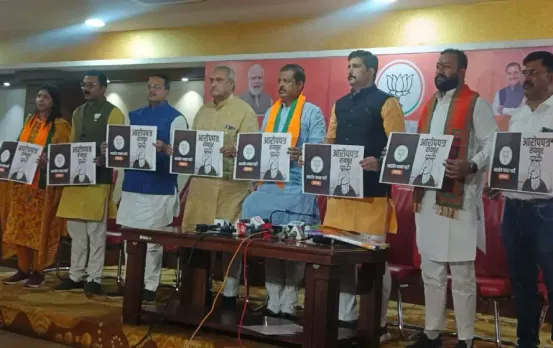 Raipur Nagariya Nikay Chunav