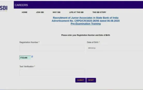 SBI Clerk Prelims Admit Card 2025 PET hall Ticket news hindi zxc