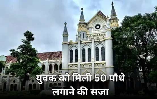 हाईकोर्ट ने युवक को दी 50 पौधे लगाने की सजा: अदालत के खिलाफ अनर्गल टिप्पणी करने पर सुनाया फैसला, पत्नी ने की थी शिकायत