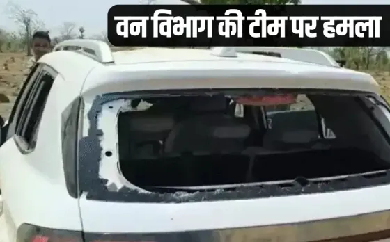 Sheopur Attack tribals stone pelting encroachment forest land hindi news