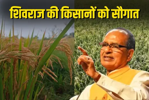 Shivraj Singh Chauhan Genome Edited Rice
