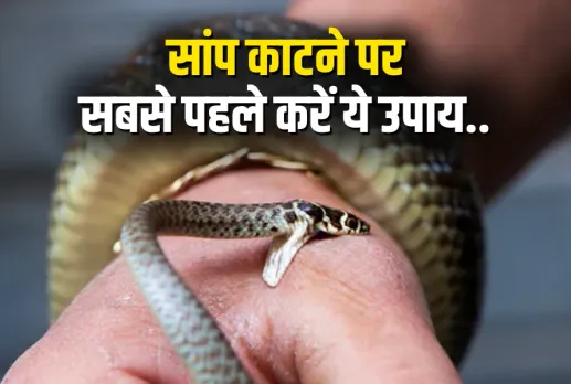 Snakebite Awareness in Monsoon Chhattisgarh
