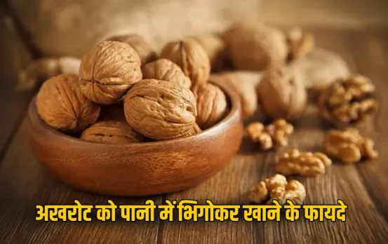 Walnuts Health Benefits: अखरोट को पानी में भिगोकर खाने के हैं चमत्कारी फायदे, दिमाग, दिल और स्किन के लिए वरदान