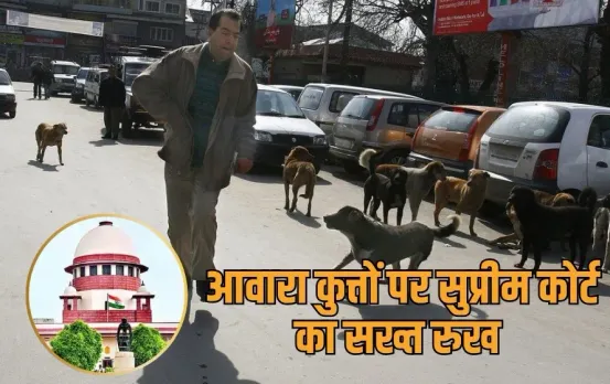 Supreme Court Order on stray dogs Delhi government shift stray dogs shelter homes zxc