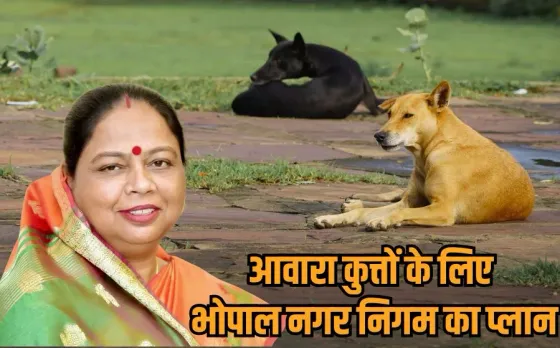 सुप्रीम कोर्ट के फैसले के बाद भोपाल नगर निगम अलर्ट, महापौर मालती राय बोलीं-हर दिन 60-70 से ज्यादा कुत्तों की नसबंदी होगी