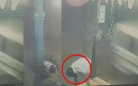 Surajpur Bolero Incident